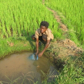 N'avoir pour eau que celle du marigot 